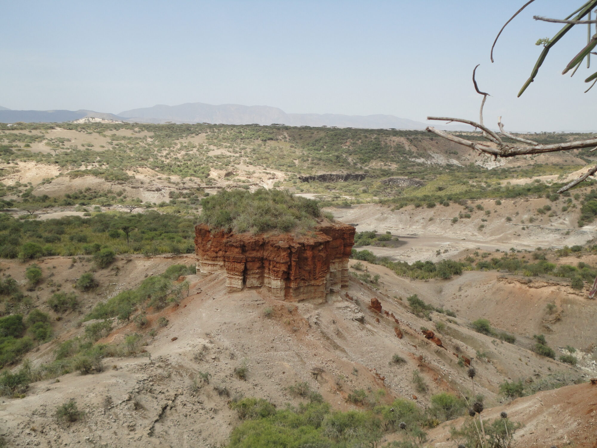 Travel Medicine - The Olduvai Gorge
