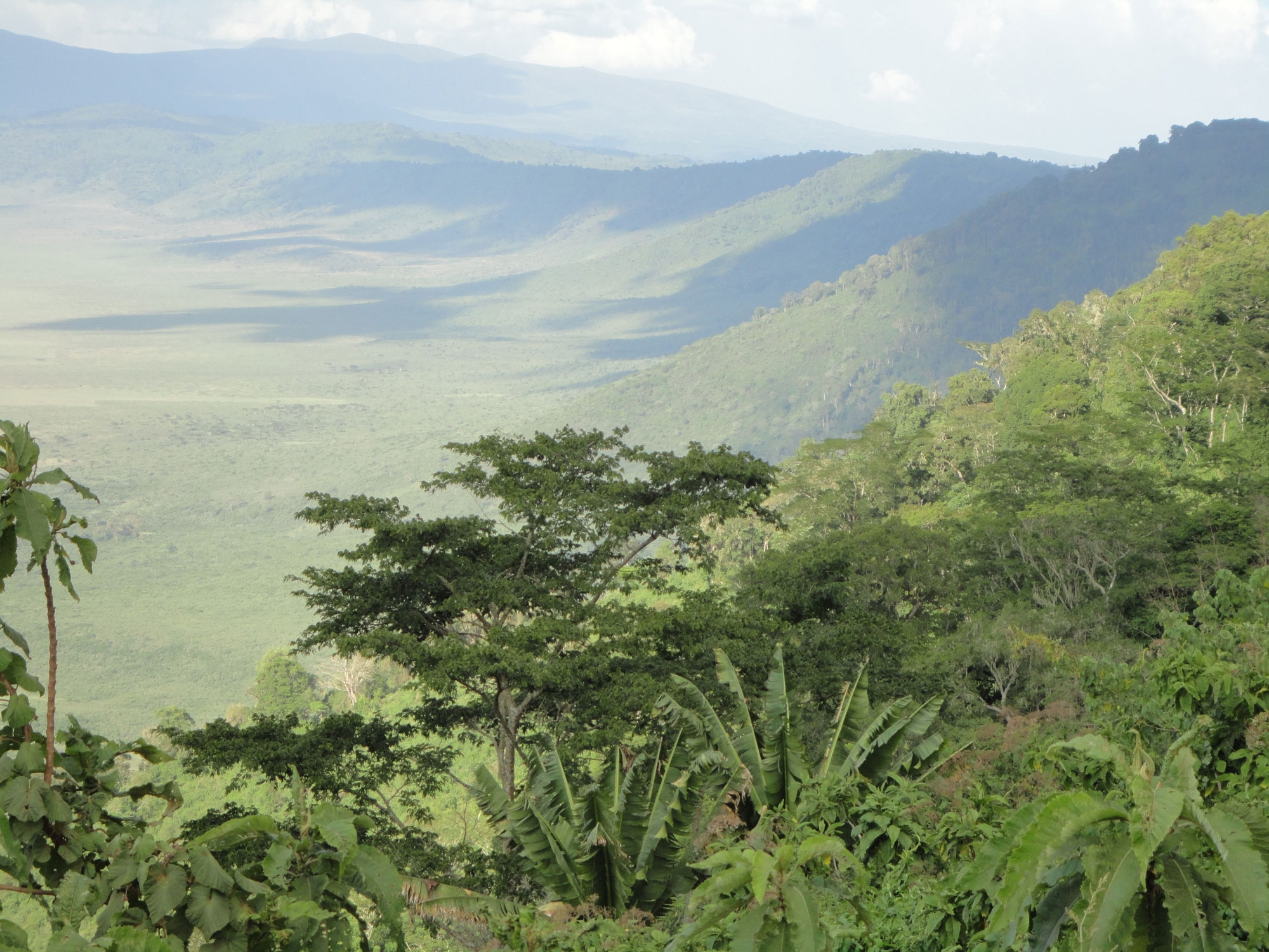 Travel Medicine - The Ngorongoro Crater