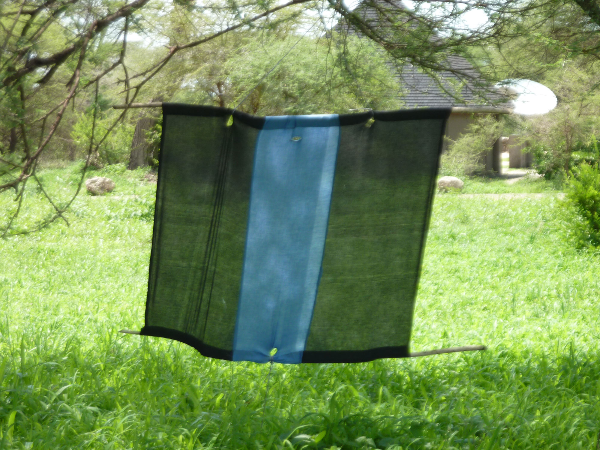 Travel Medicine - Tsetse Fly Trap